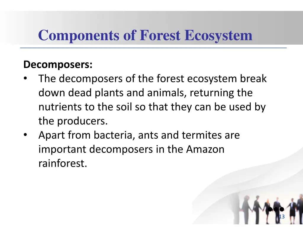 components of forest ecosystem 2
