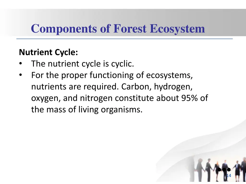 components of forest ecosystem 3