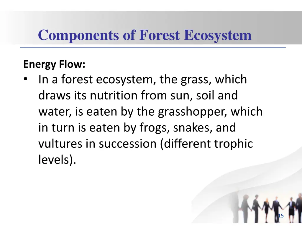 components of forest ecosystem 4