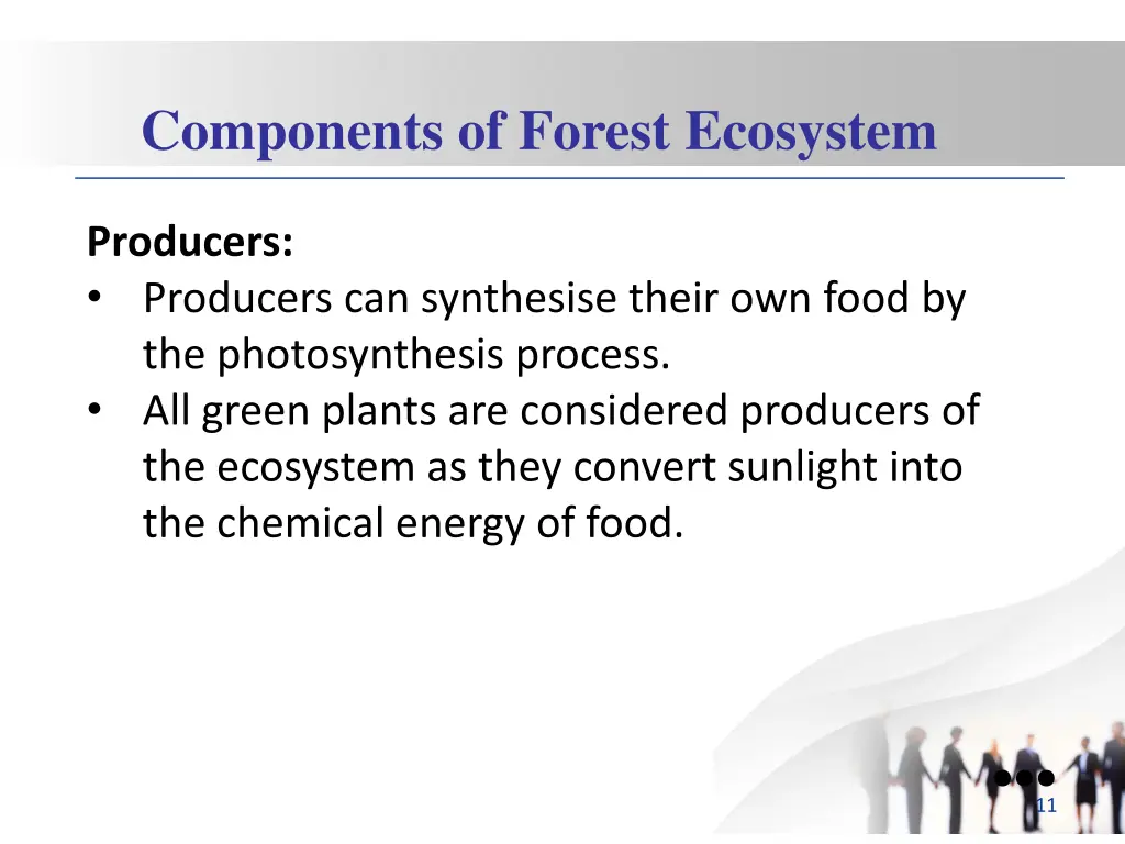 components of forest ecosystem