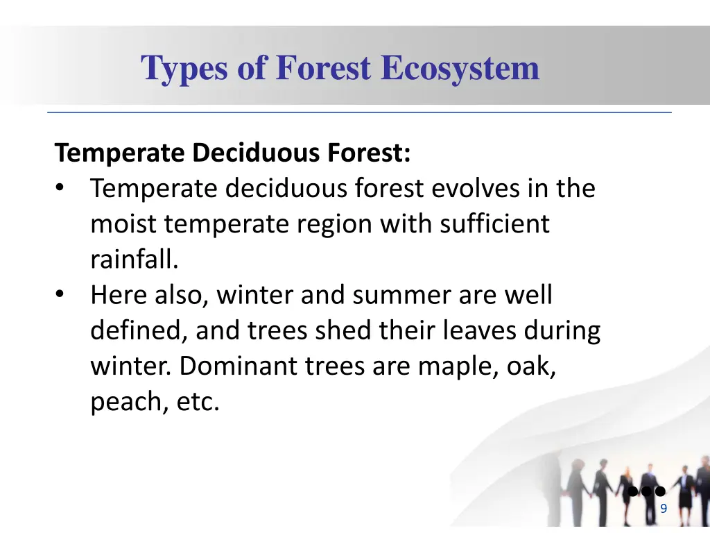 types of forest ecosystem 3