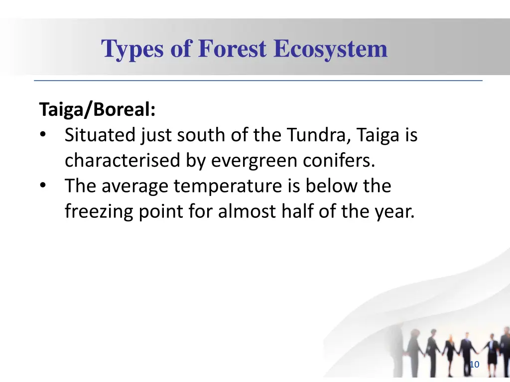 types of forest ecosystem 4