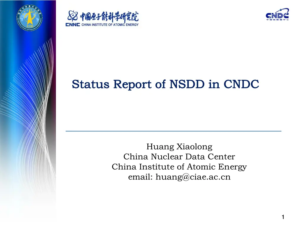 status report of nsdd in cndc status report