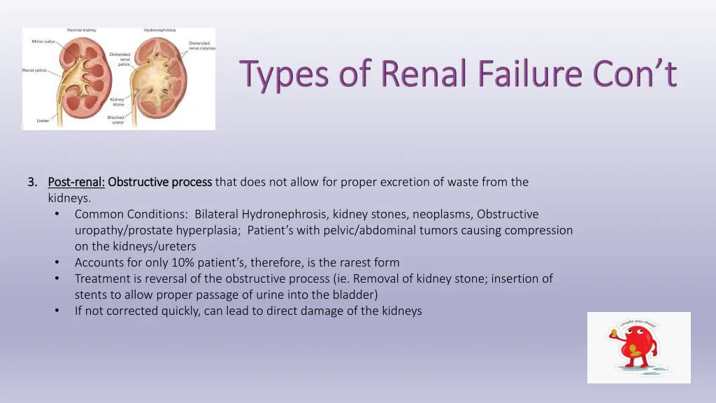 3 3 post post renal kidneys