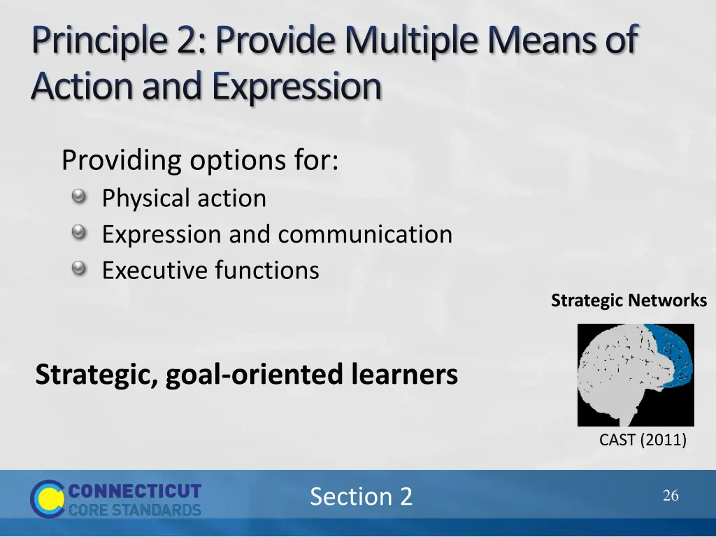 principle 2 provide multiple means of action