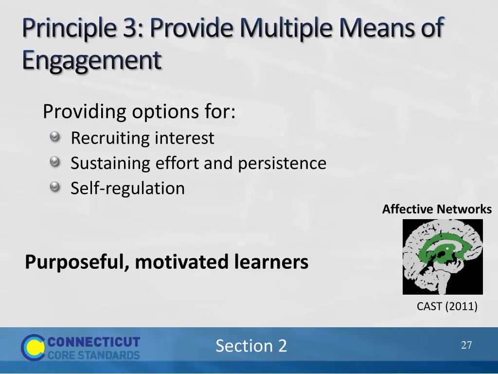 principle 3 provide multiple means of engagement