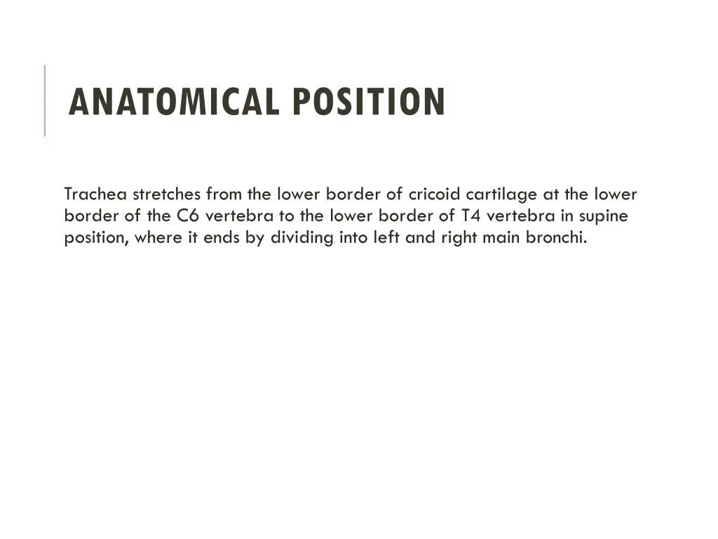 anatomical position 1