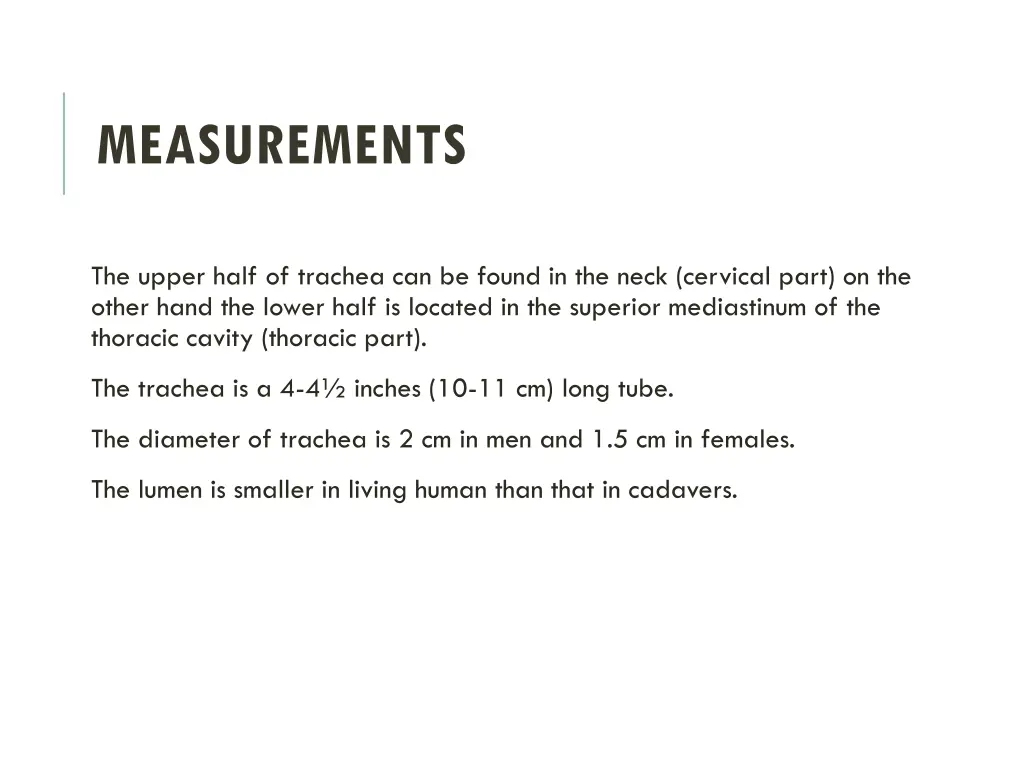 measurements