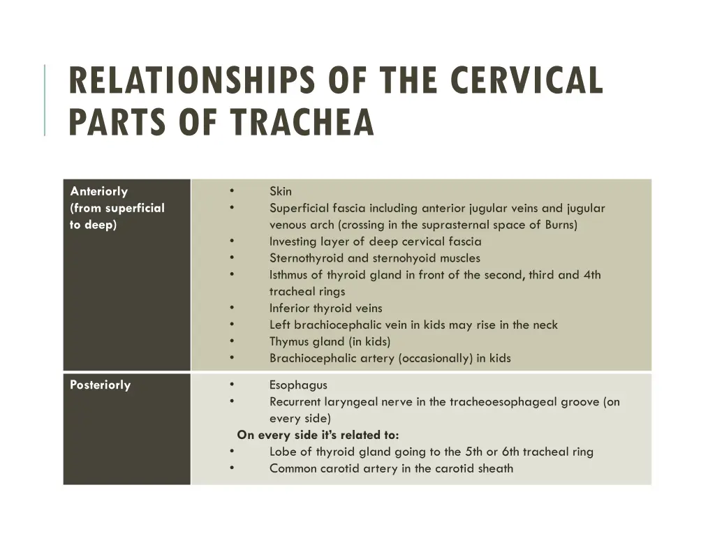 relationships of the cervical parts of trachea