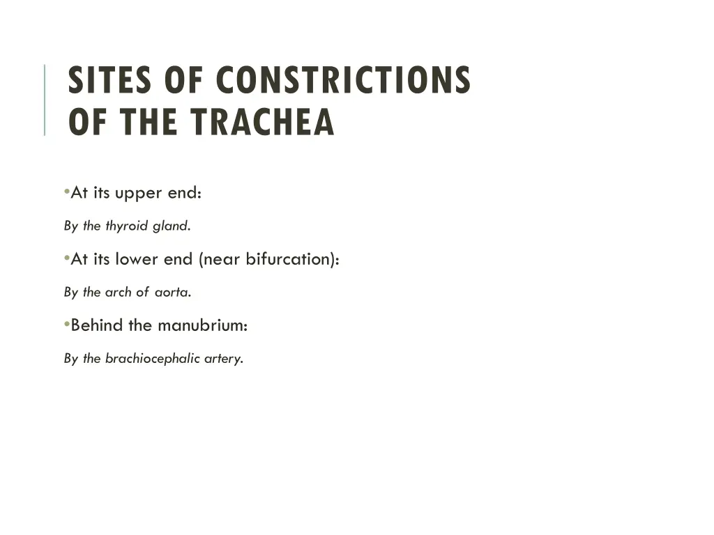 sites of constrictions of the trachea