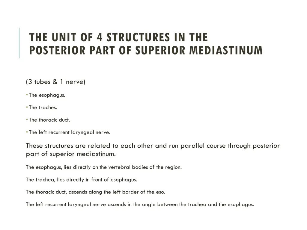 the unit of 4 structures in the posterior part