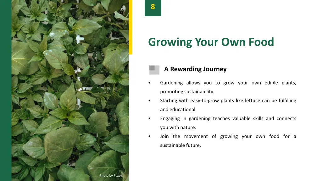 slide10
