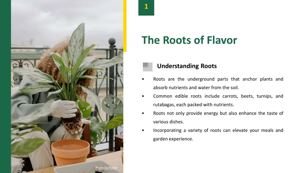 slide3