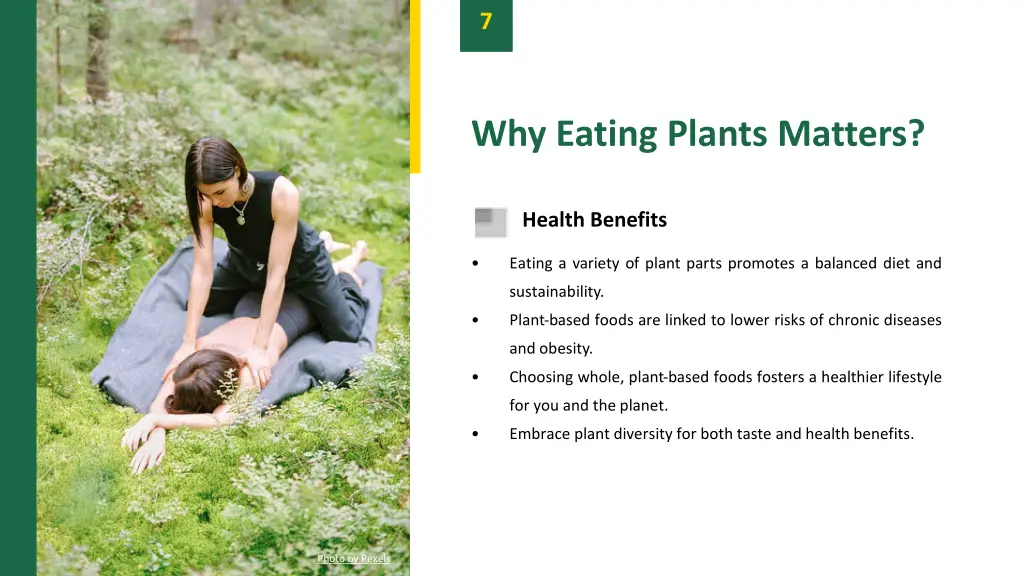 slide9