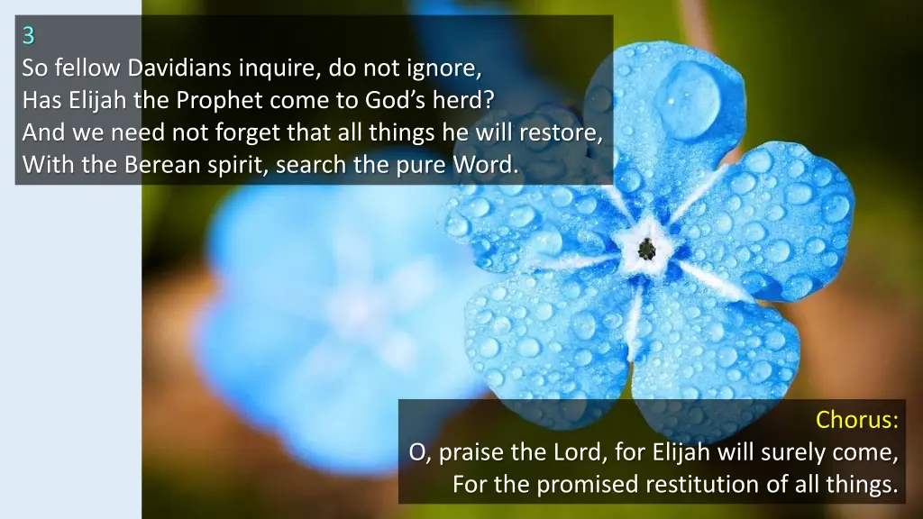 3 so fellow davidians inquire do not ignore