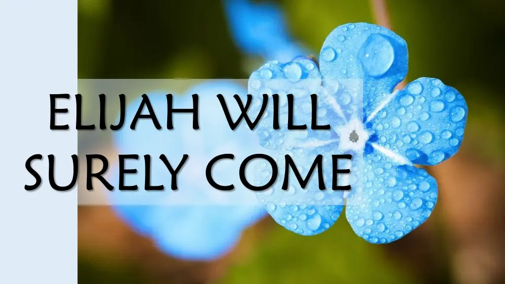 elijah will surely come