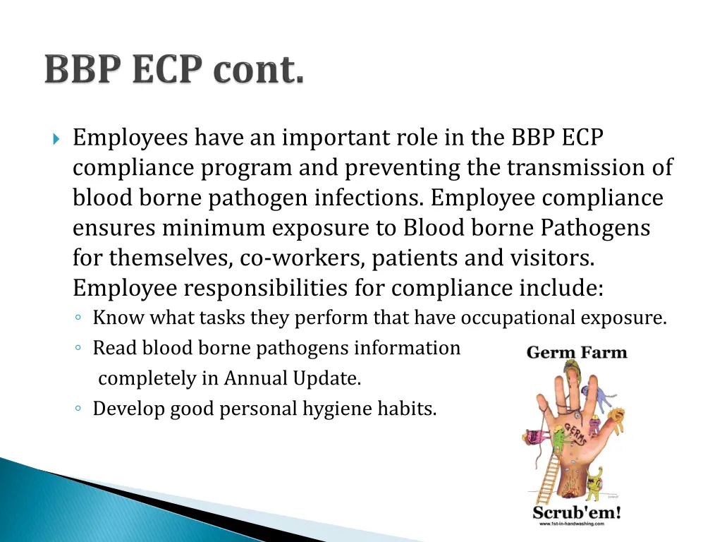 employees have an important role