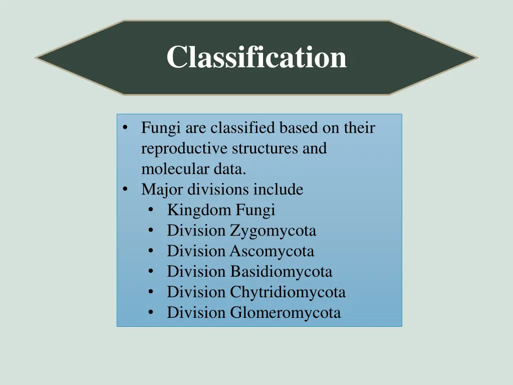 classification