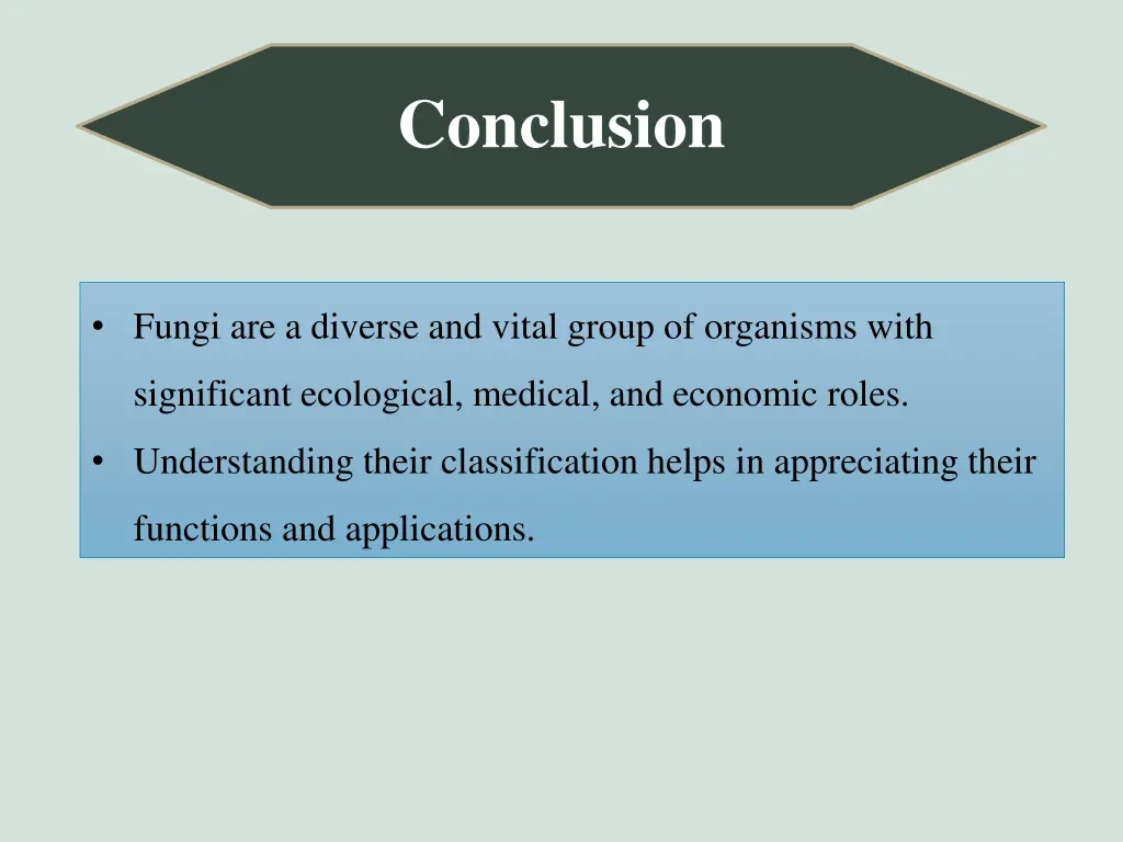 conclusion