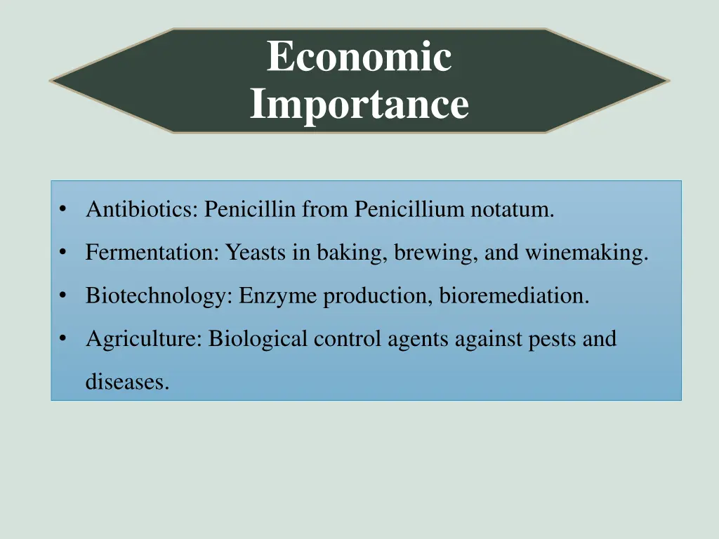 economic importance