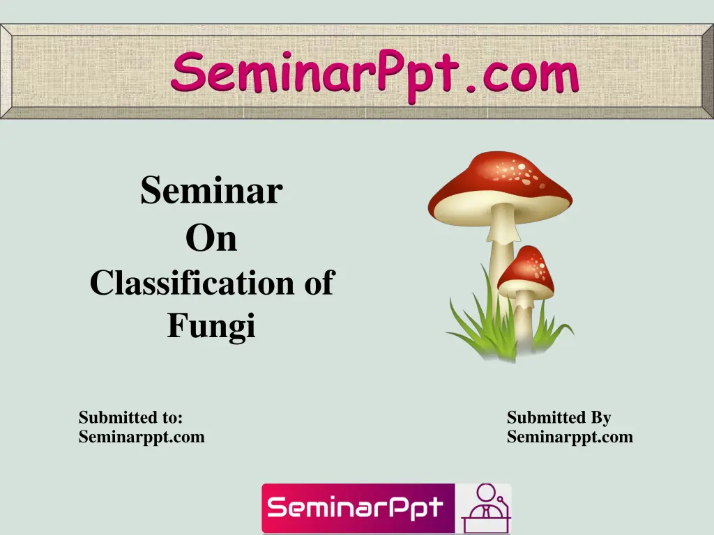 seminarppt com