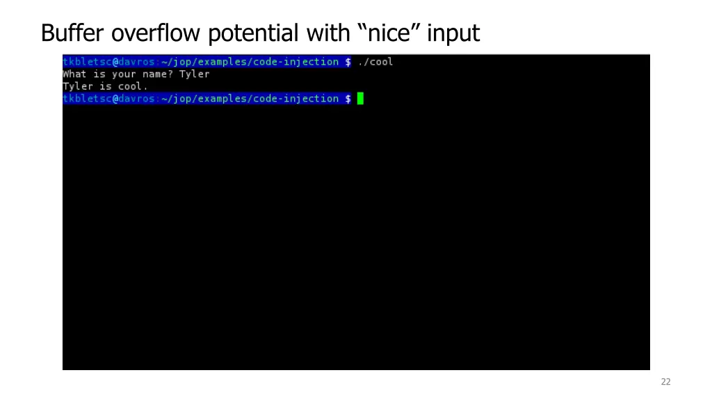 buffer overflow potential with nice input