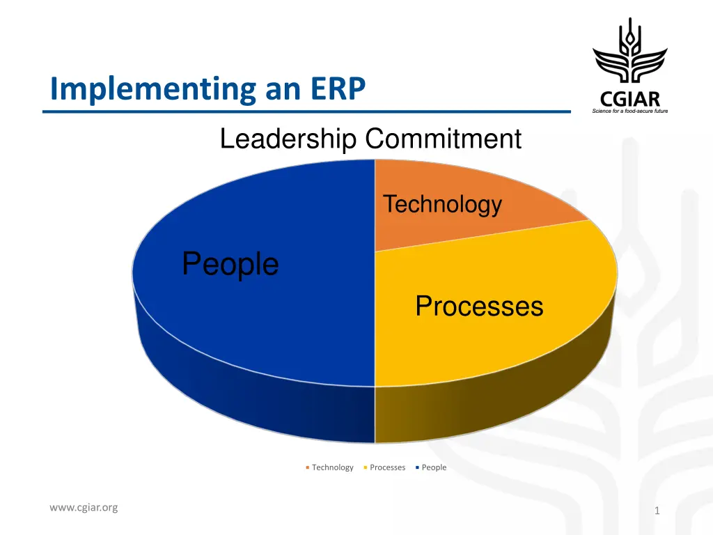 implementing an erp