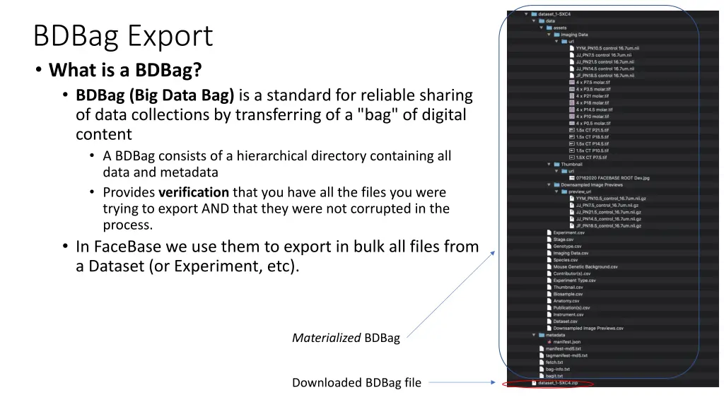 bdbag export what is a bdbag bdbag big data