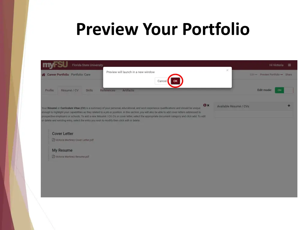 preview your portfolio 1