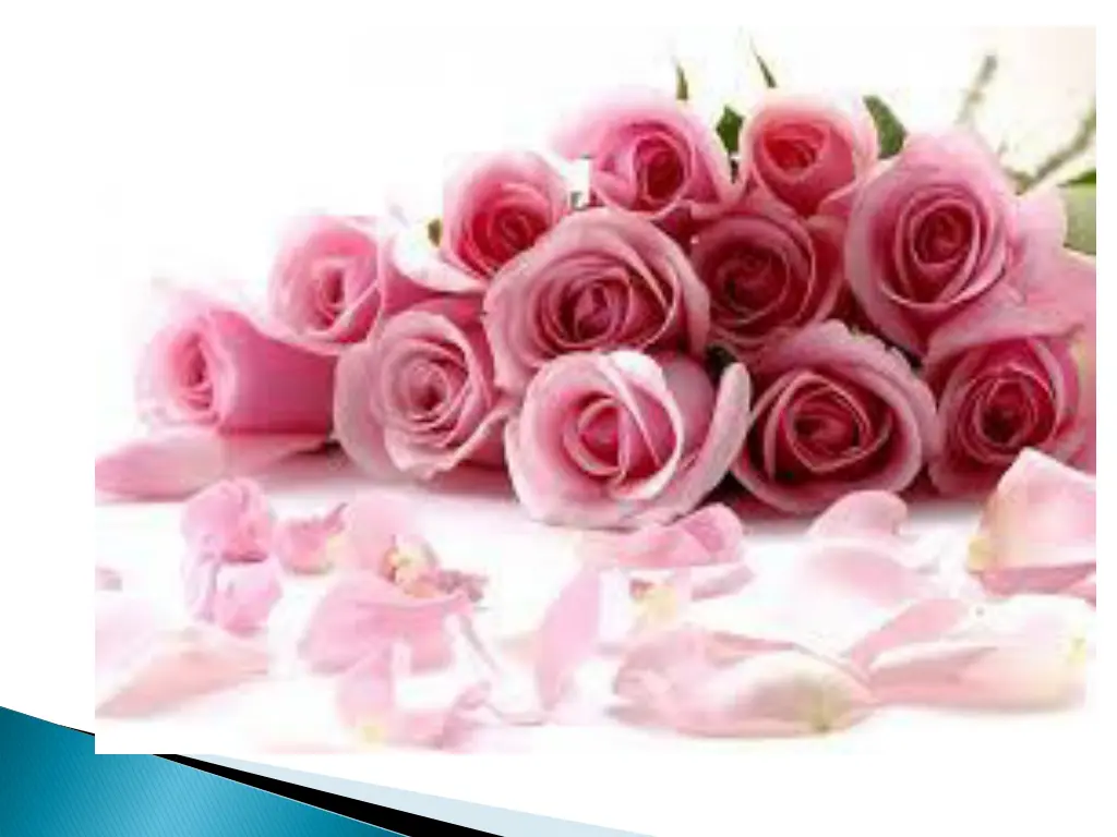related image 1