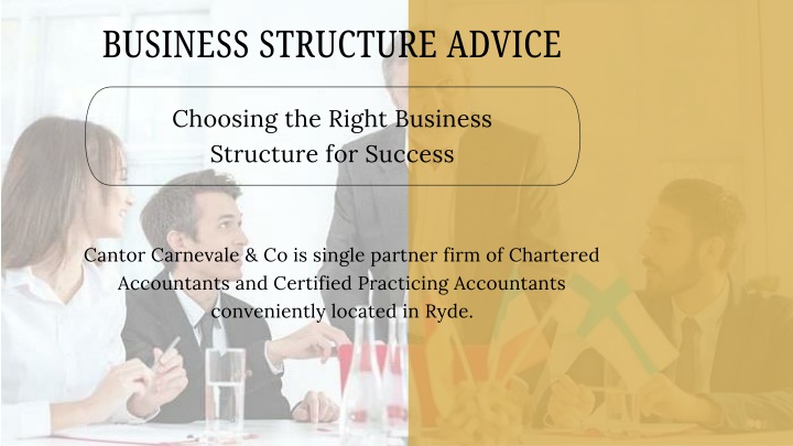 business structure advice