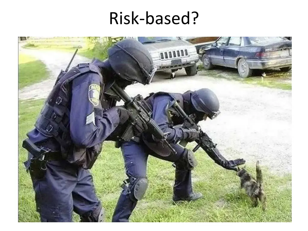 risk based