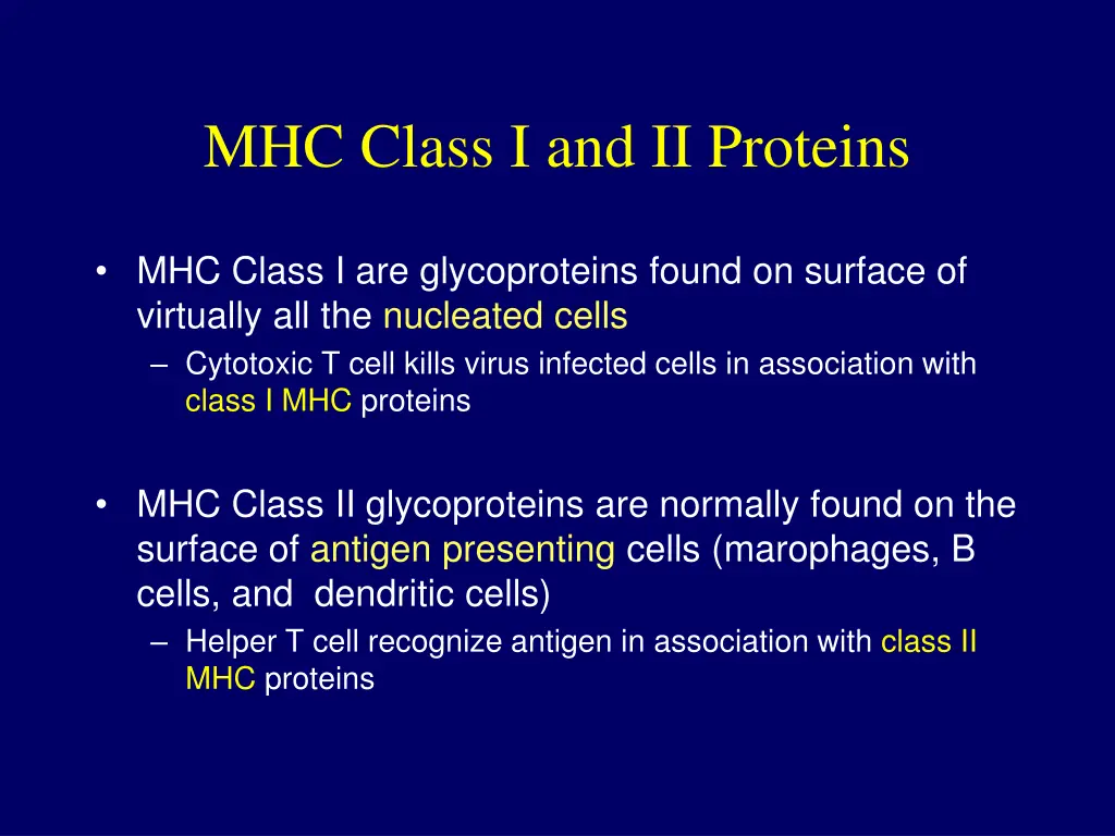 mhc class i and ii proteins