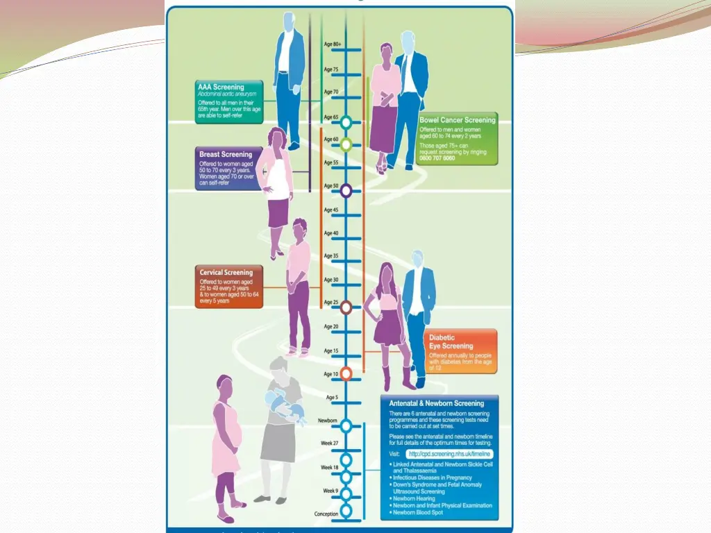 slide46