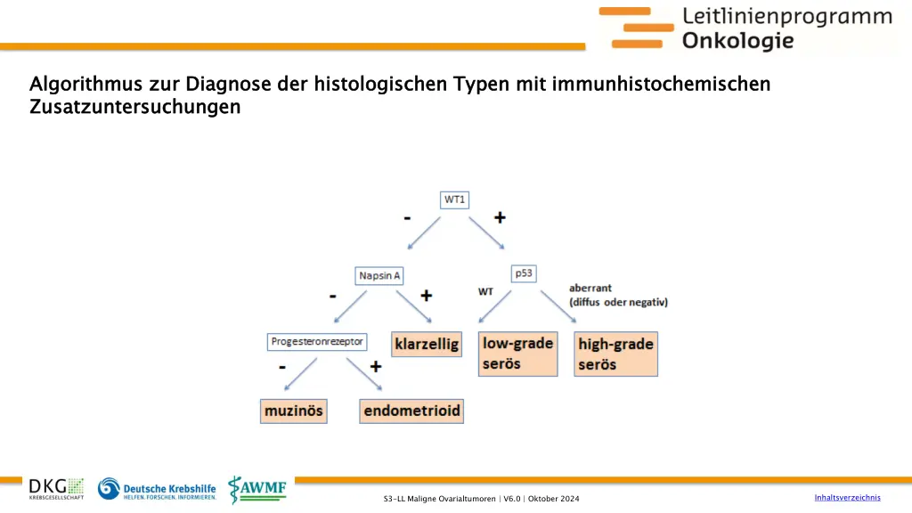 algorithmus zur diagnose der histologischen typen