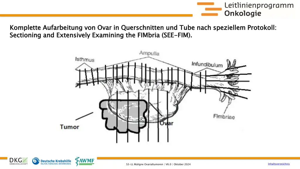 komplette aufarbeitung von ovar in querschnitten