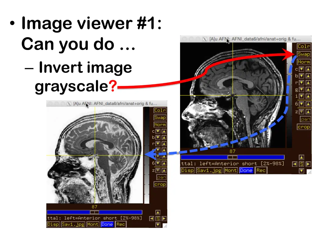 image viewer 1 can you do invert image grayscale 1