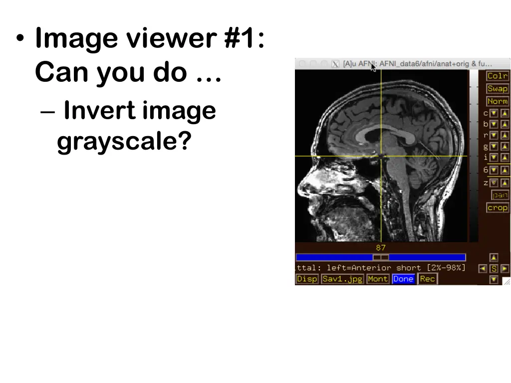 image viewer 1 can you do invert image grayscale