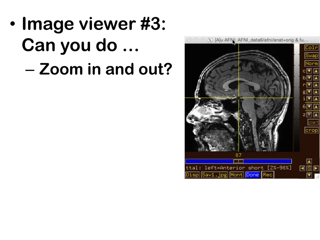 image viewer 3 can you do zoom in and out