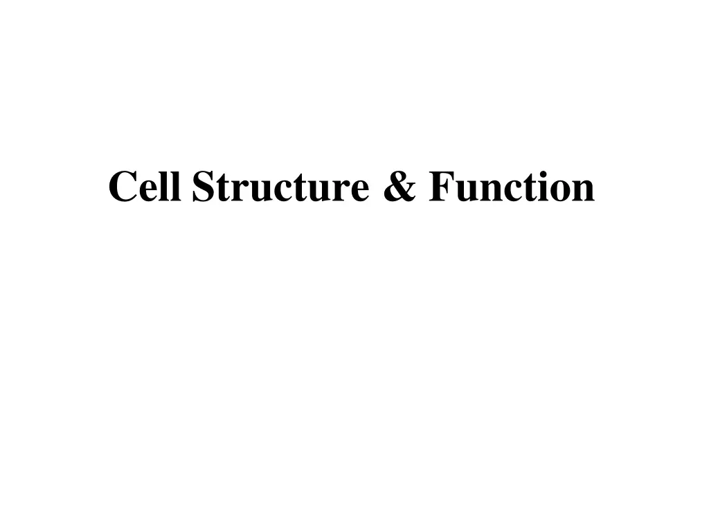 cell structure function
