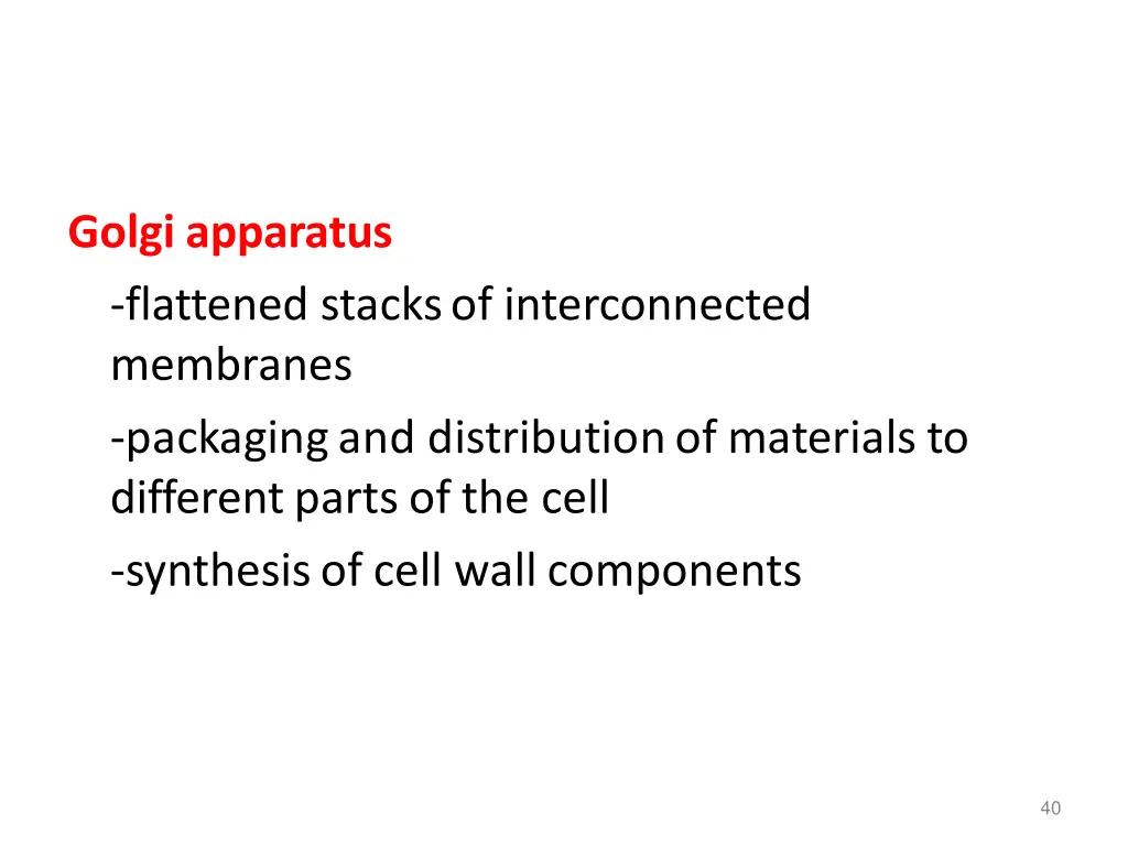 golgi apparatus flattened stacksof interconnected