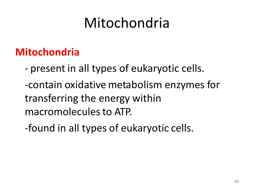 mitochondria 3