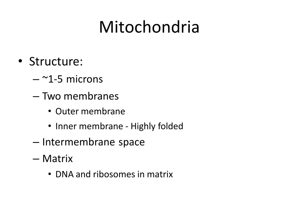 mitochondria