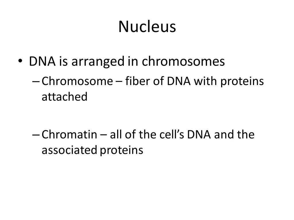 nucleus 2