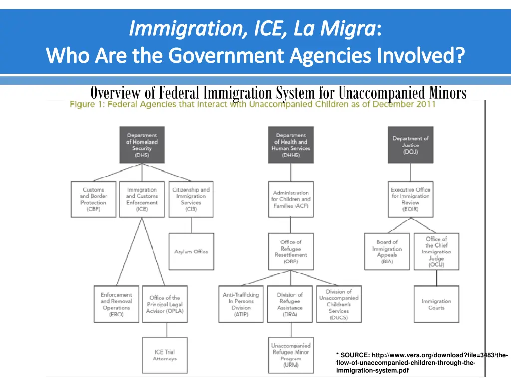 immigration ice la migra who are the government