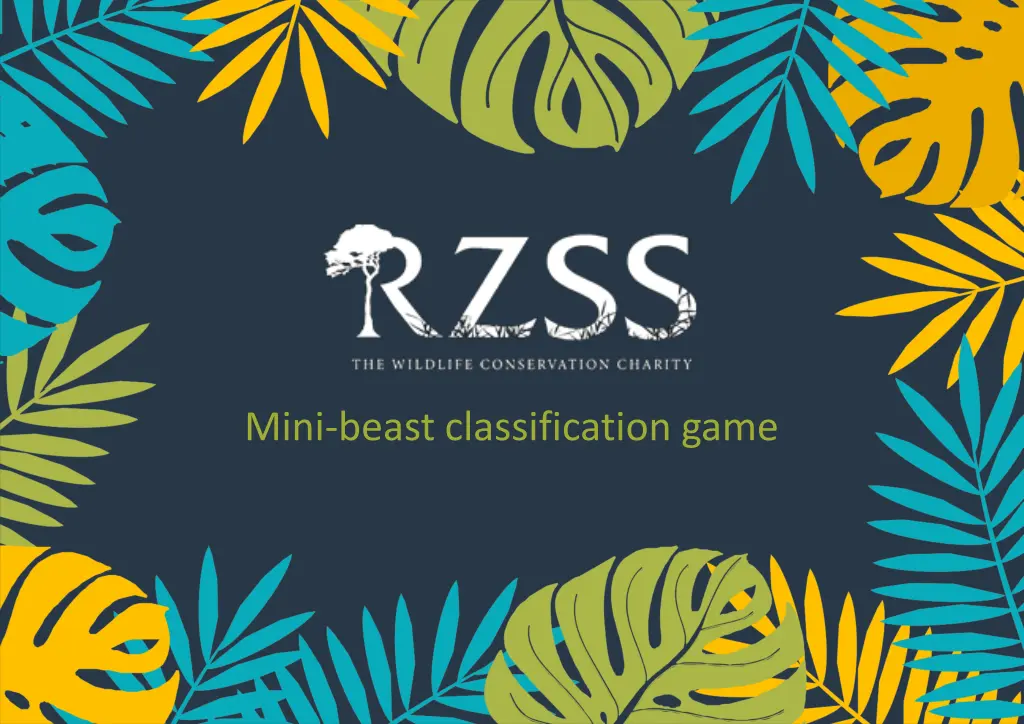 mini beast classification game