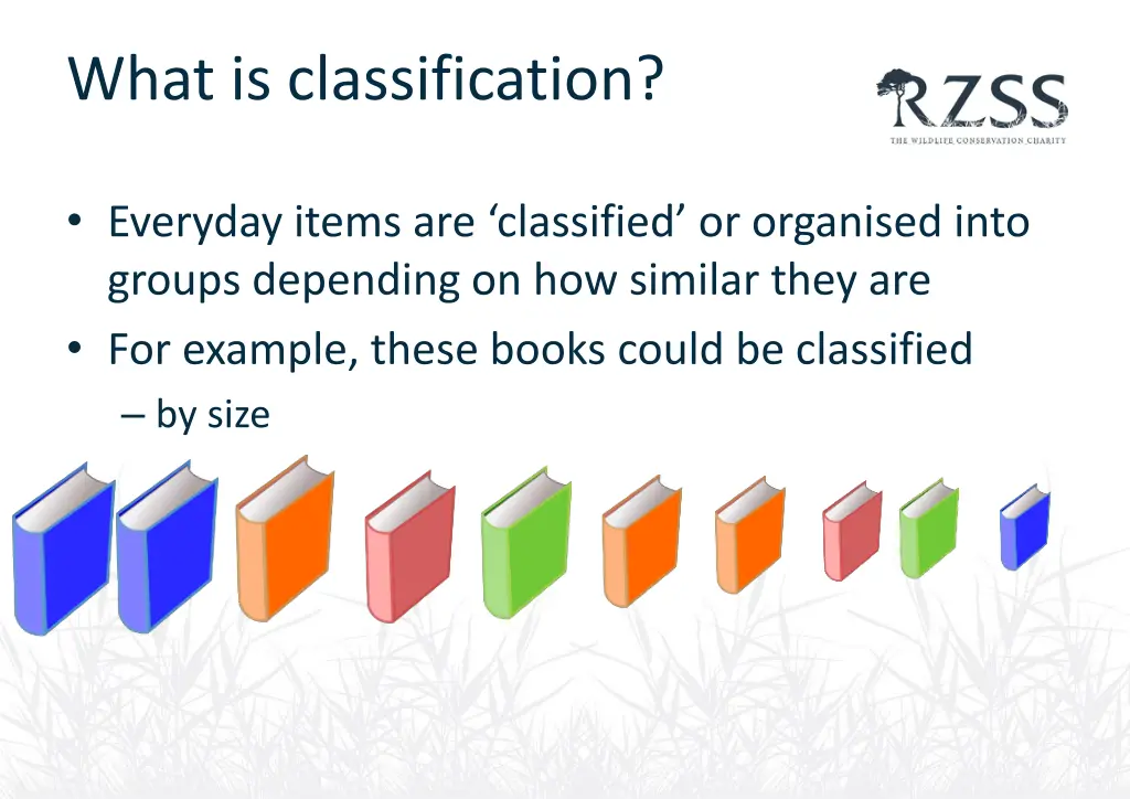 what is classification 1