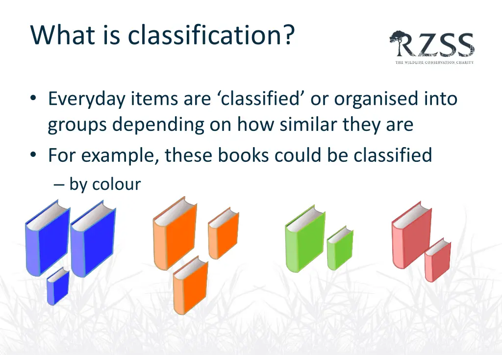 what is classification 2