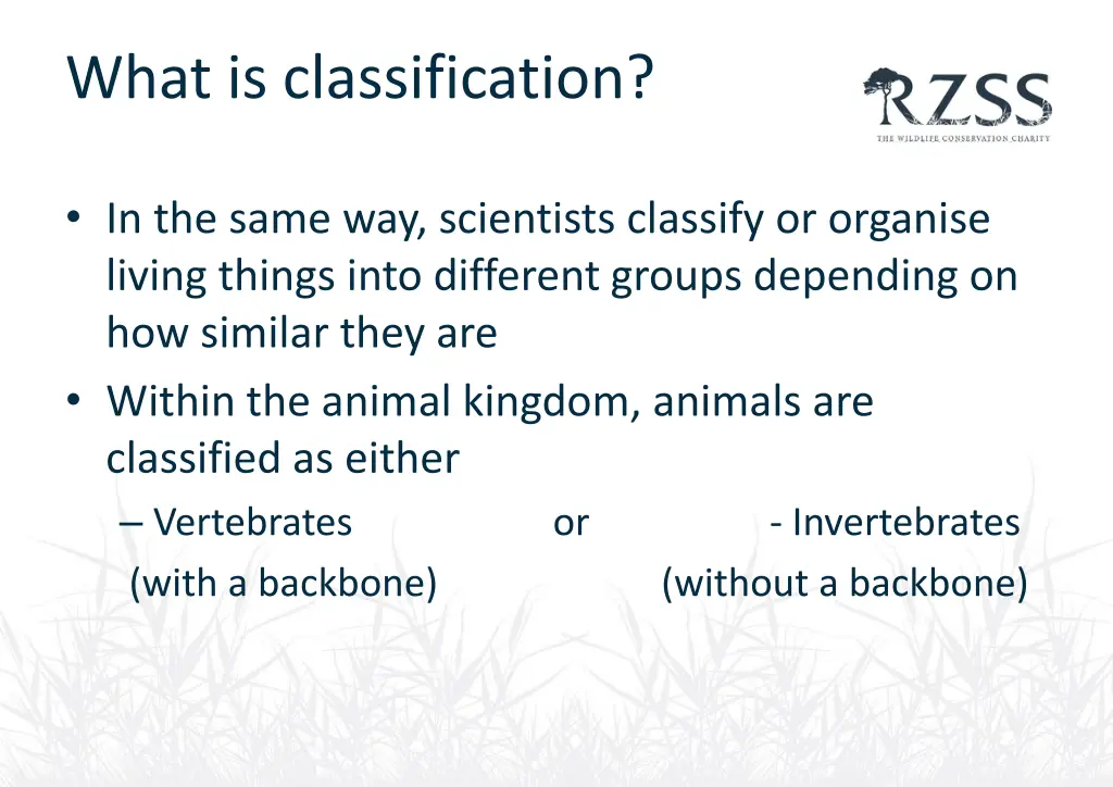 what is classification 3
