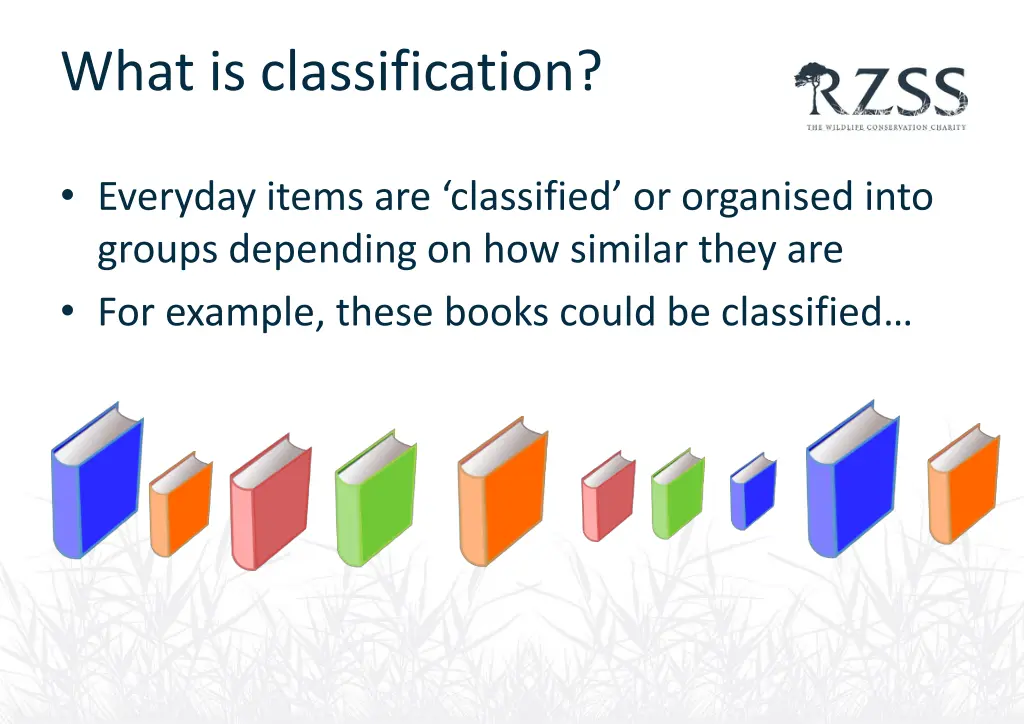what is classification